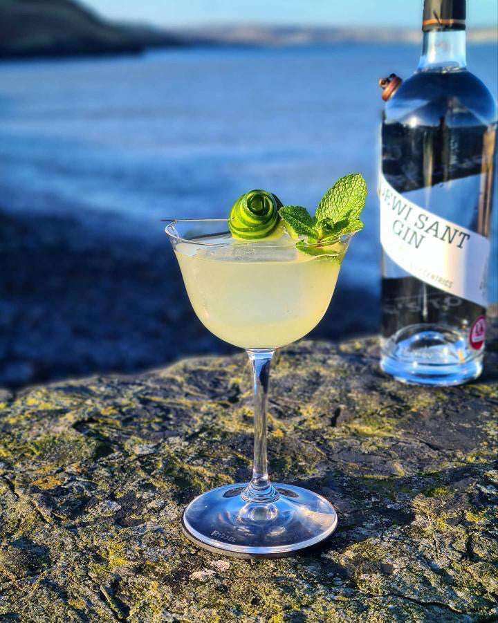 A St David's Day cocktail made with In the Welsh Wind gin