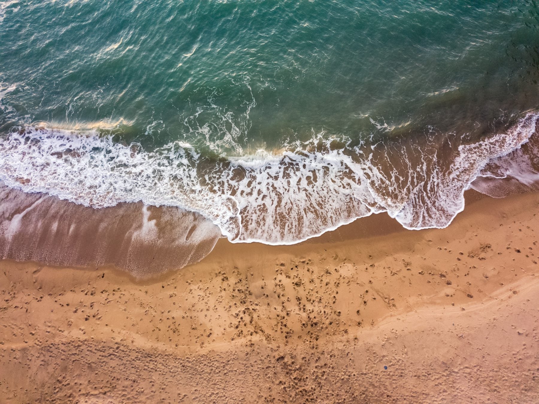 Making gin in Wales – Daring to be different