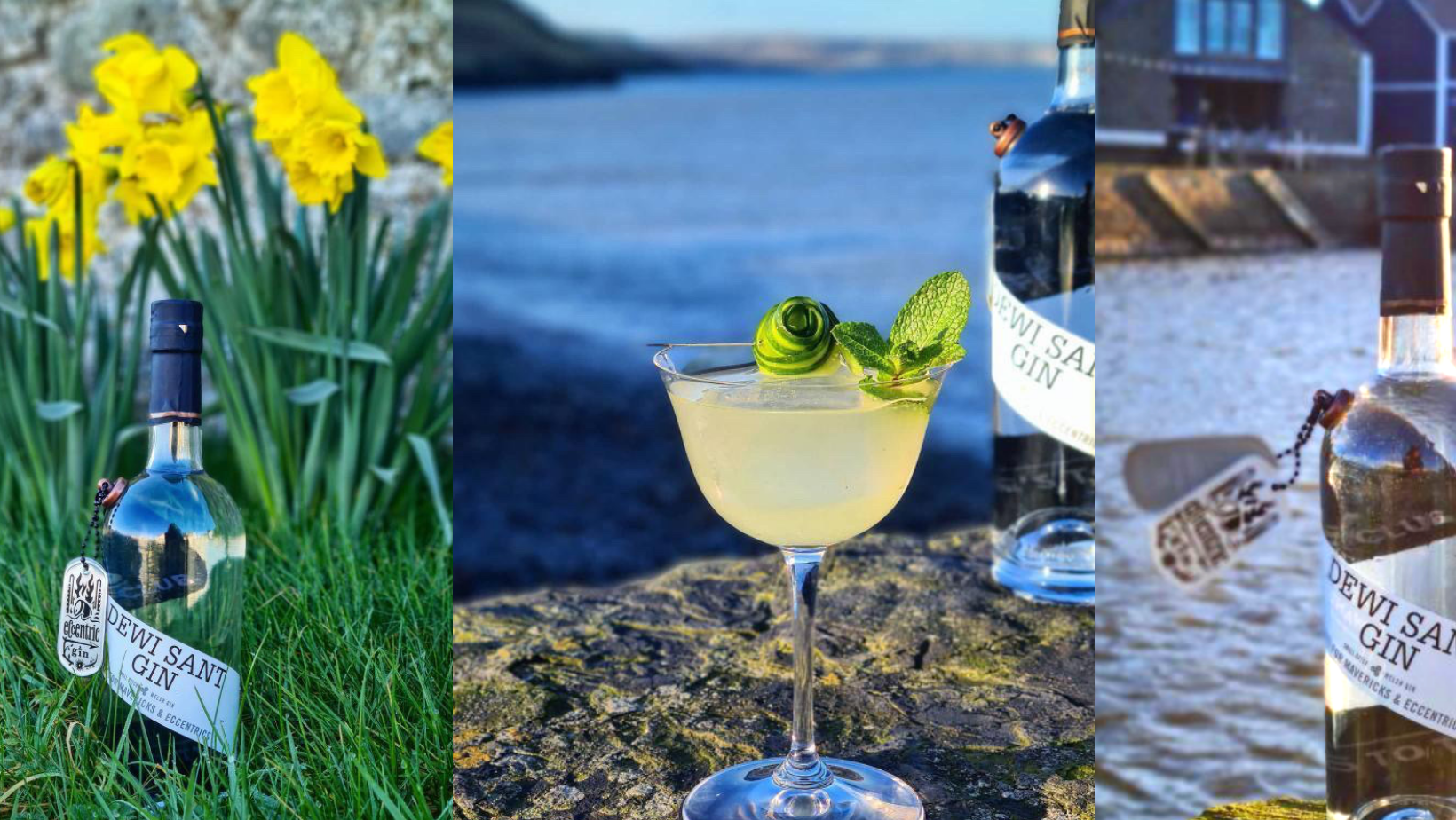 A St David's Day cocktail made with In the Welsh Wind gin