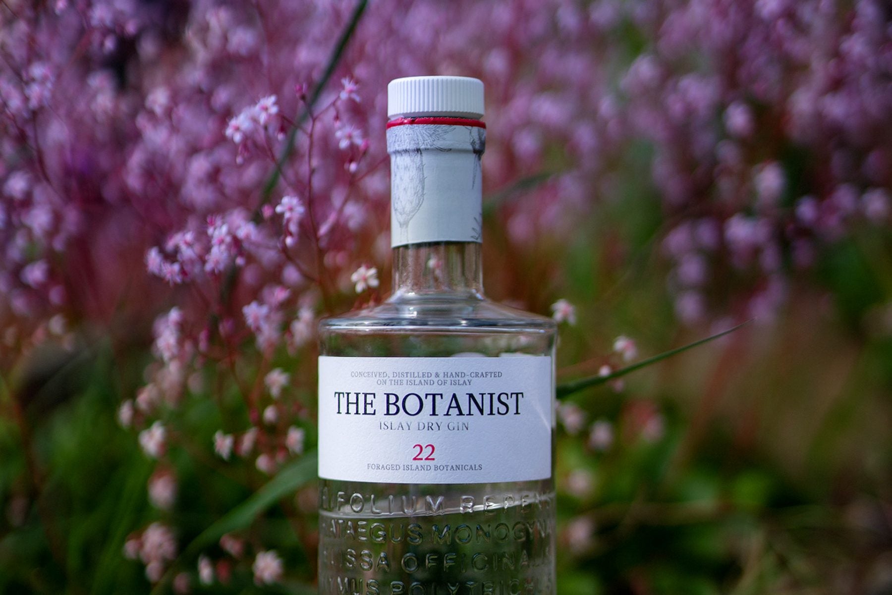 From whisky to gin – the Bruichladdich way