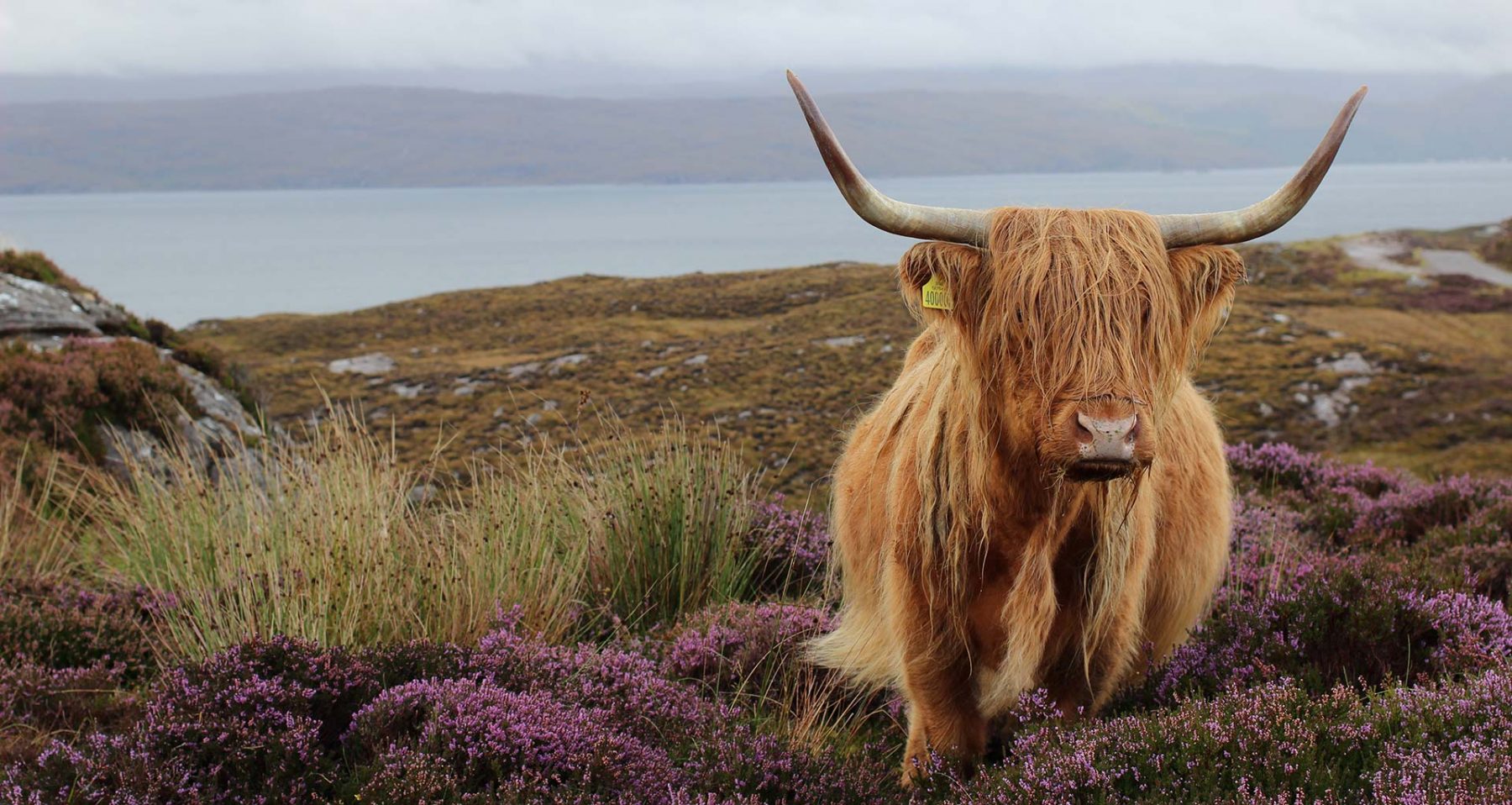 The North Coast 500 in Scotland, where the idea for In the Welsh Wind began