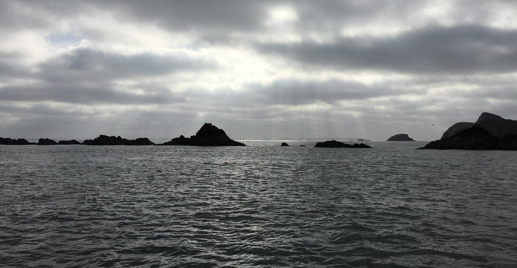 The Pembrokeshire coast between St Davids and Freshwater East