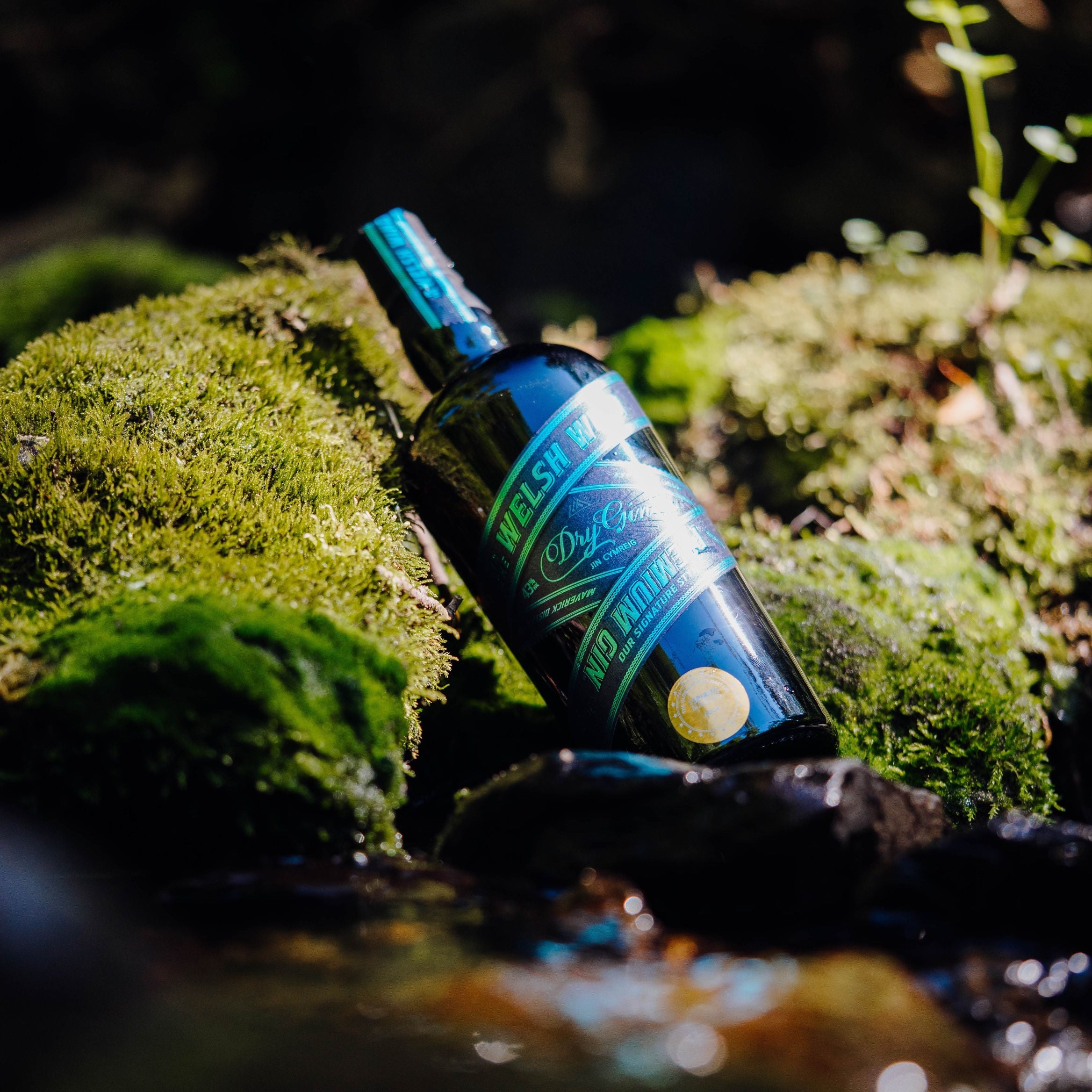 Celebrate Welsh Gin with M&S this World Gin Day