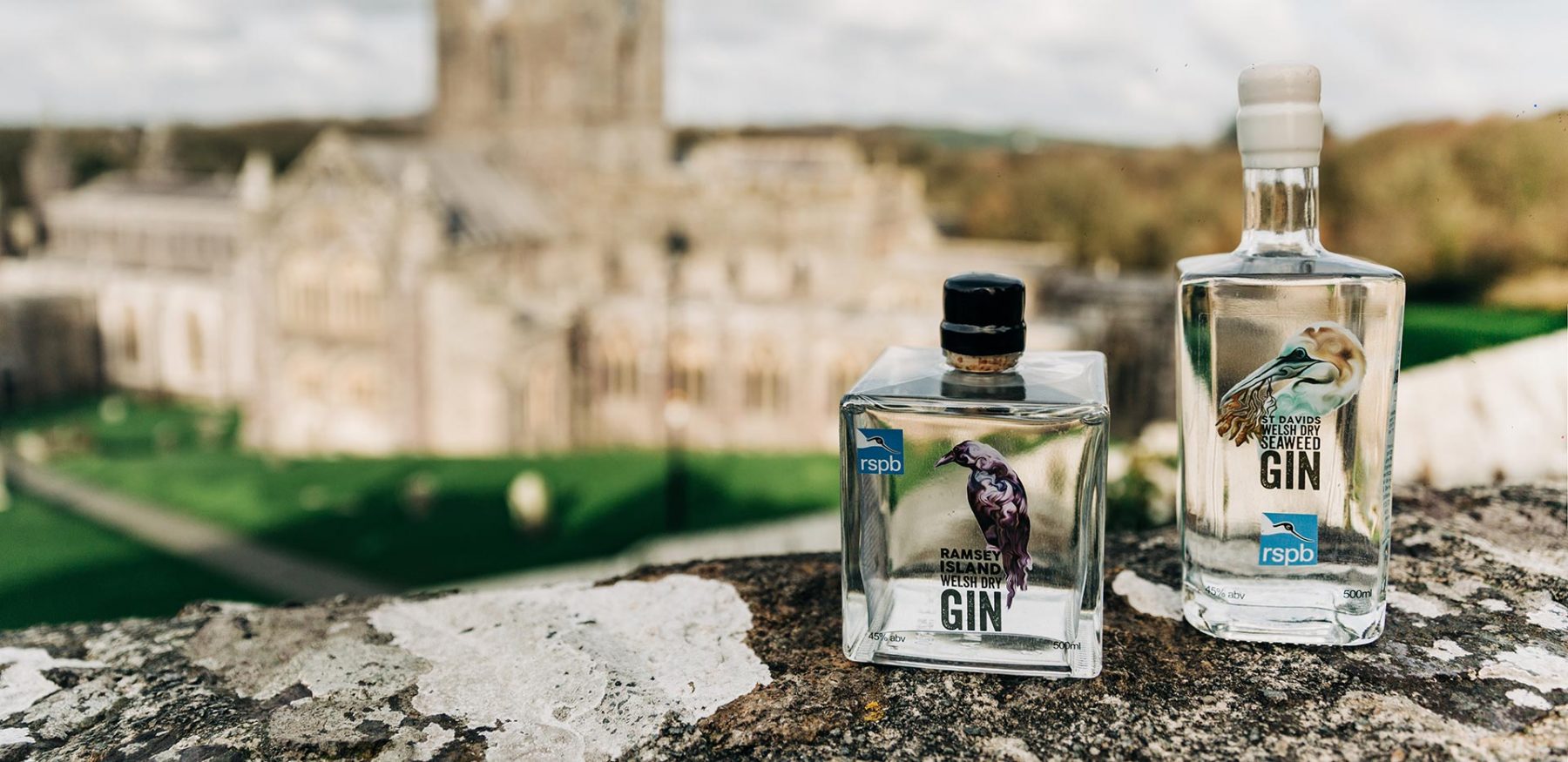 In the Welsh Wind St Davids gins