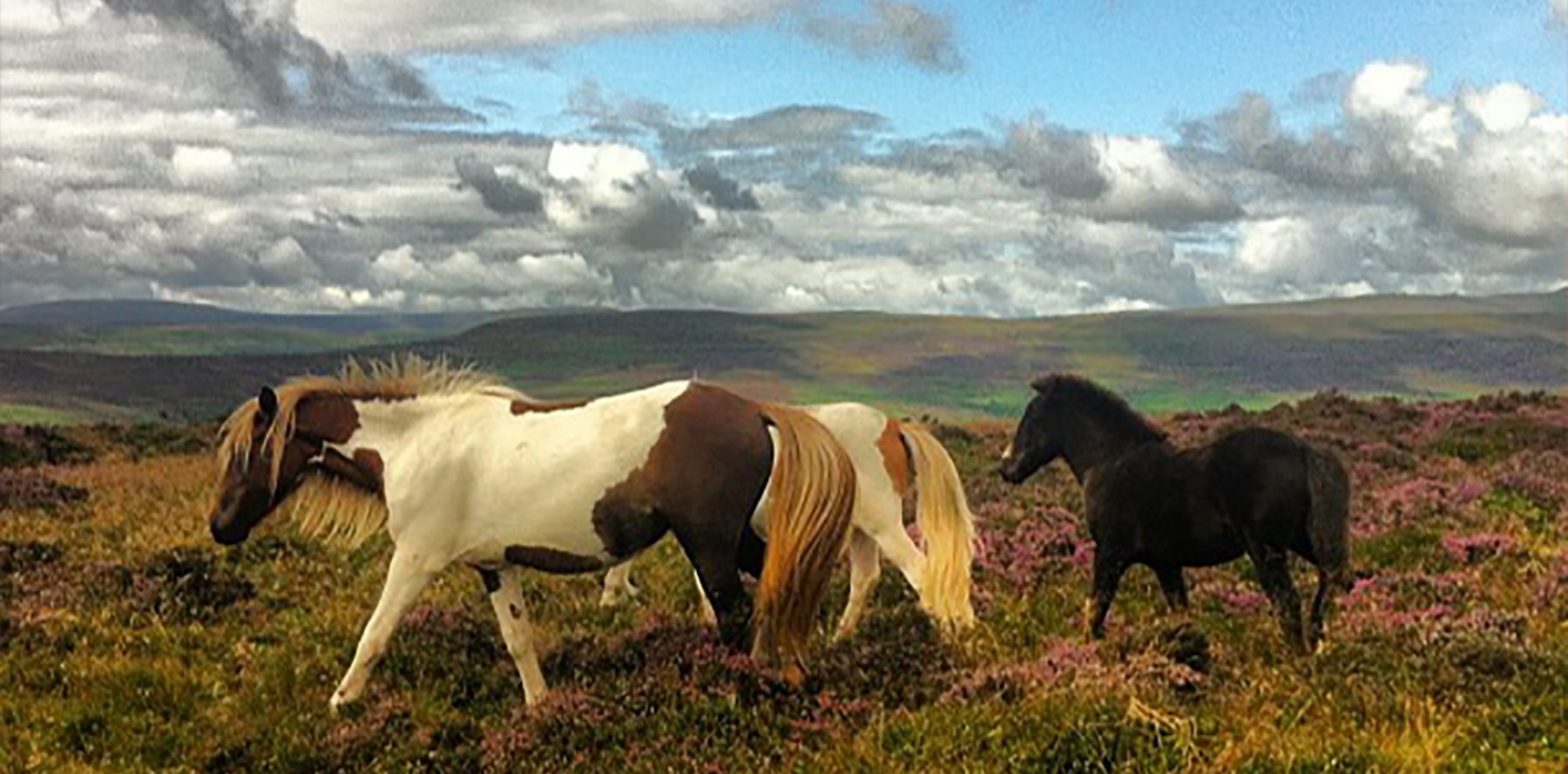 The route from Cardiff to Hay on Wye