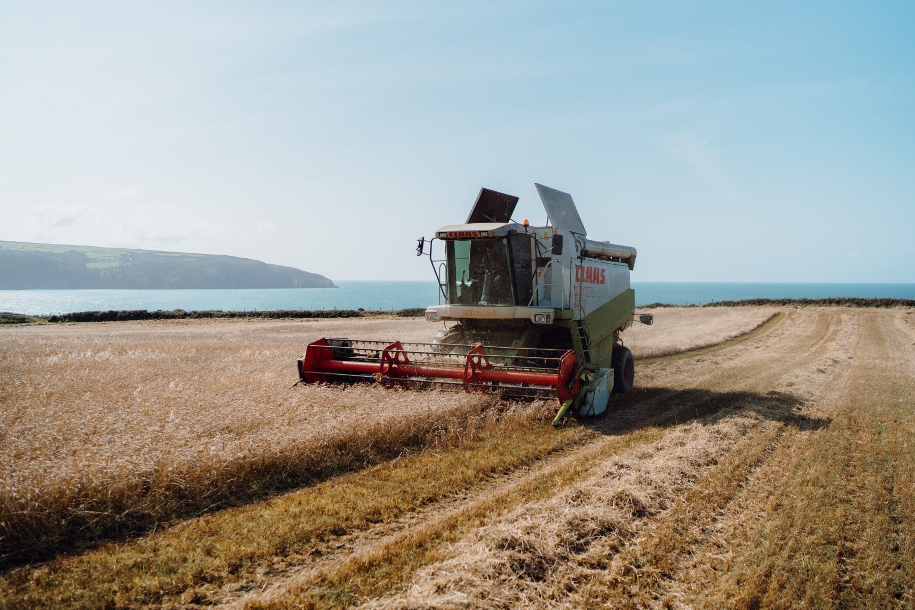 Barley fields and sea views on the Ceredigion coast