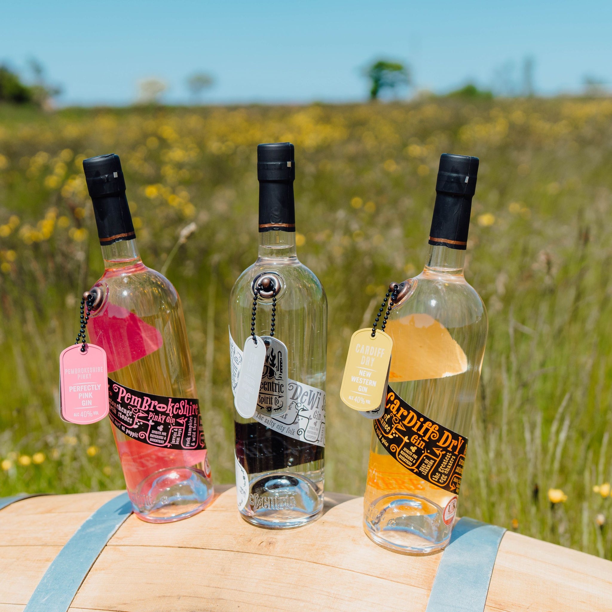 Welsh Gin Bundle In The Welsh Wind