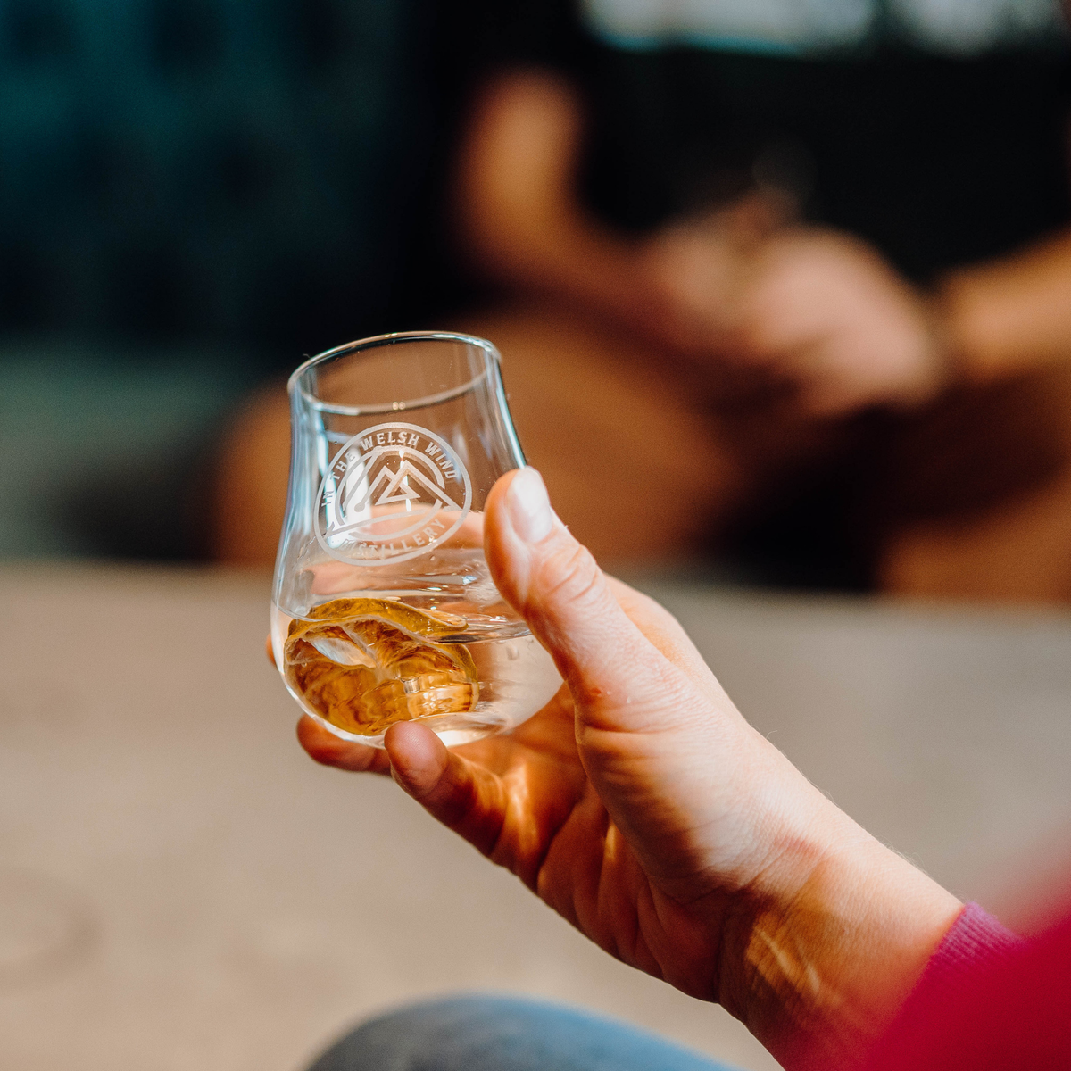 Gin Tasting Experience