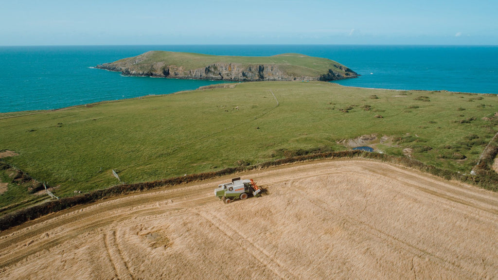 In The Welsh Wind Gin Distillery West Wales