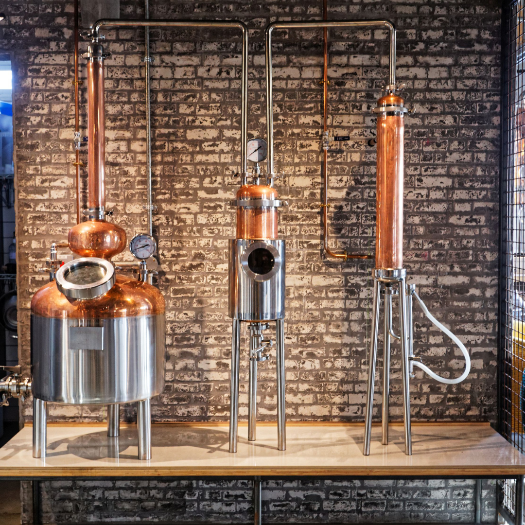 Gin Tasting Experience